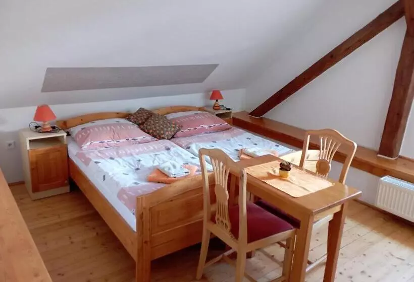 ペンション Ubytování Na Hájence