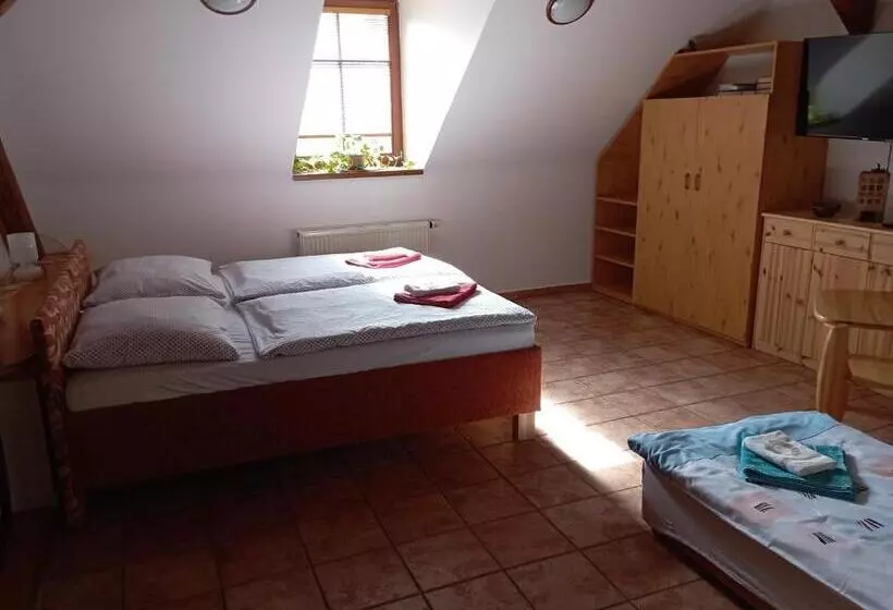 ペンション Ubytování Na Hájence