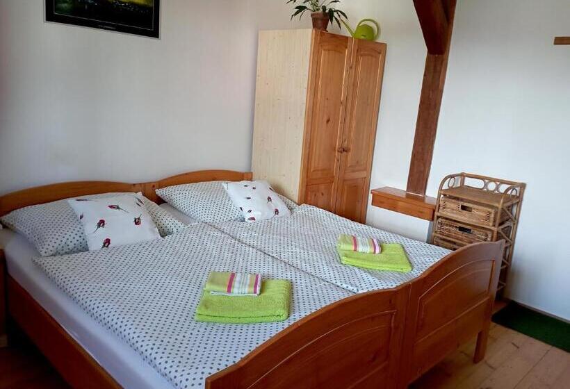 بنسيون Ubytování Na Hájence