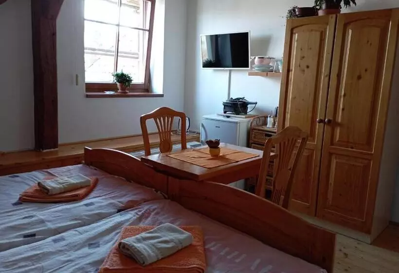 ペンション Ubytování Na Hájence