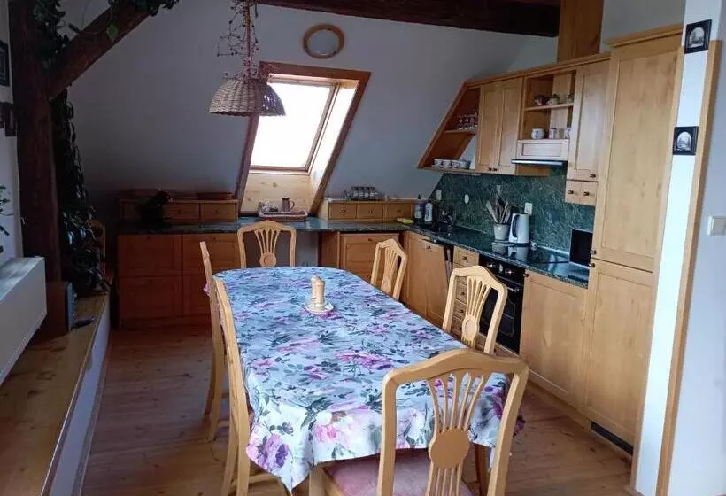 ペンション Ubytování Na Hájence