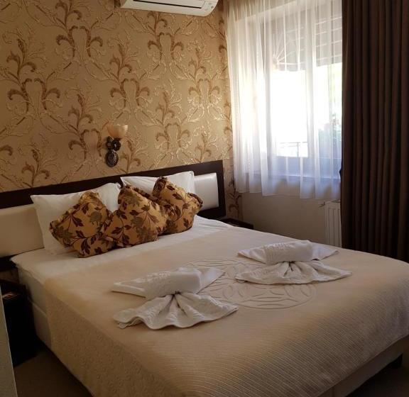 بنسيون Villa Anticus