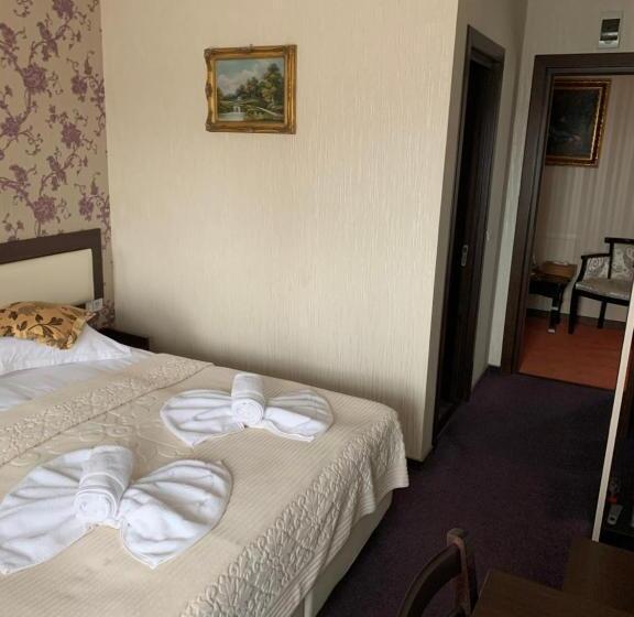 بنسيون Villa Anticus