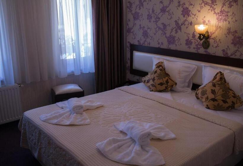 بنسيون Villa Anticus