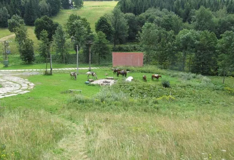 Majatalo Horská Bouda čihalka