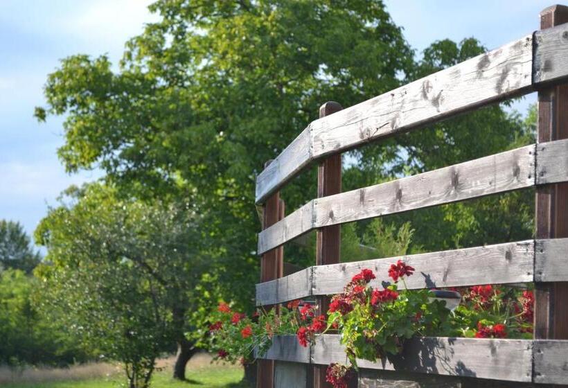 Pension (Hôtel basse catégorie) Inspire View