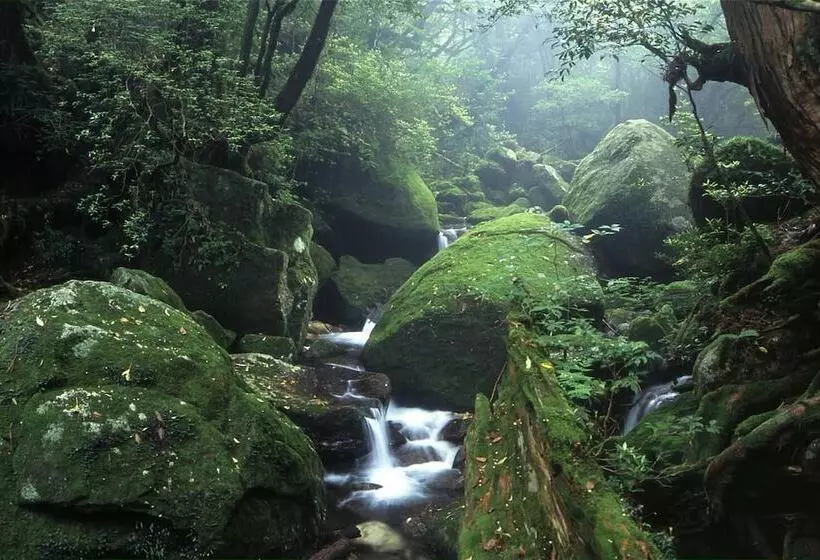 ペンション Yakushima Refresh