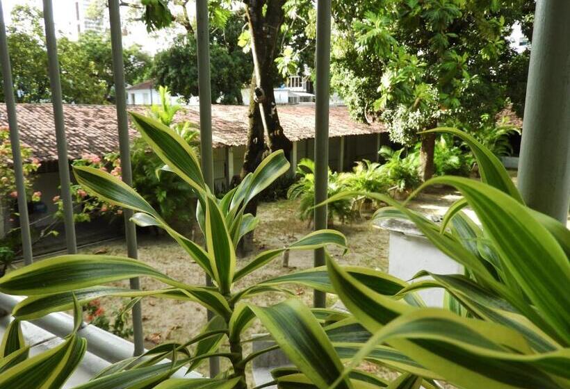 Пансион Pousada Cecosne