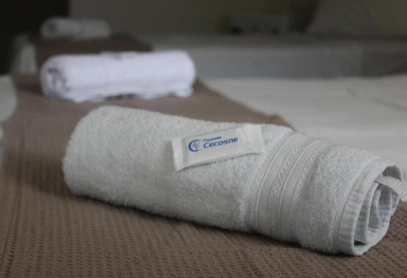 Пансион Pousada Cecosne