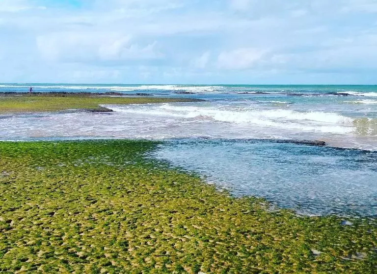 Majatalo Pousada Ilha Do Meio