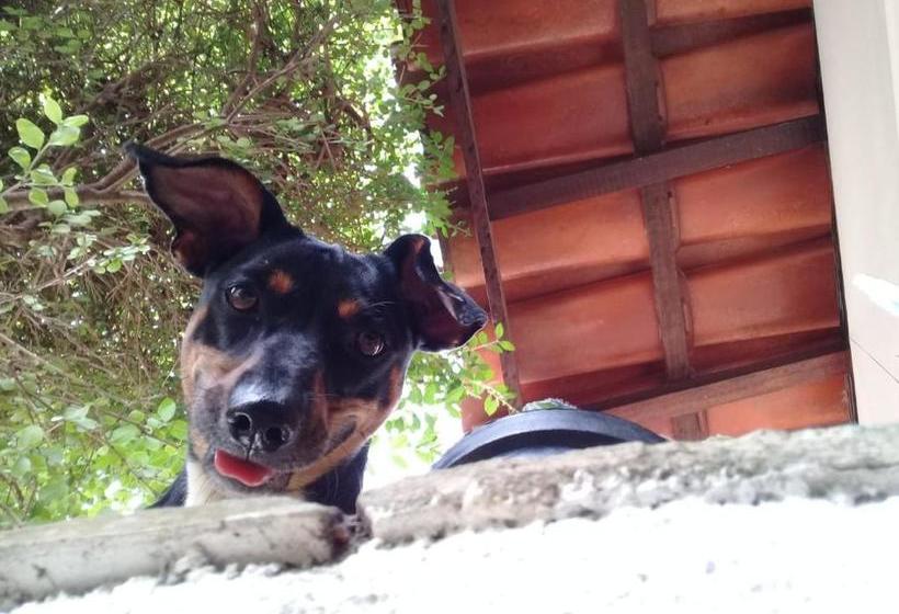 펜션 Vale Das Orquídeas Pousada