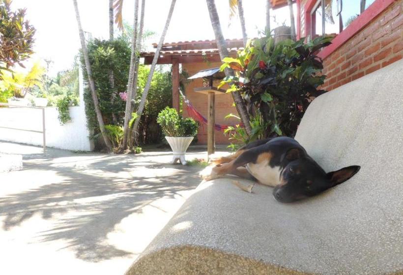 펜션 Vale Das Orquídeas Pousada