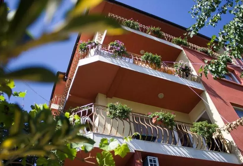 ペンション Violeta 7 Guest House