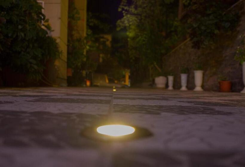 پانسیون Violeta 7 Guest House