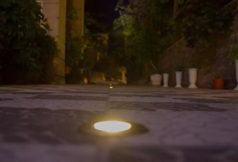 ペンション Violeta 7 Guest House