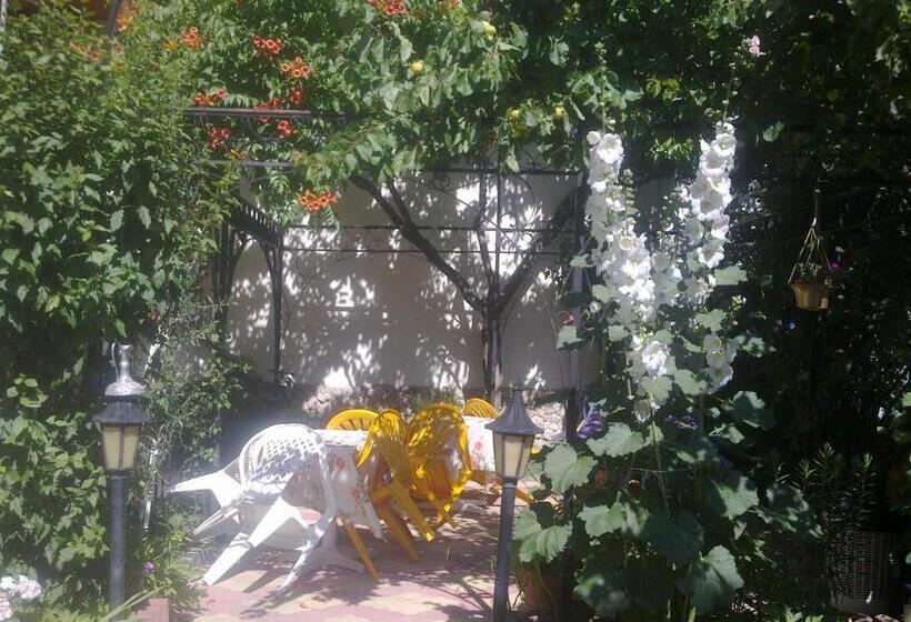 پانسیون Violeta 7 Guest House