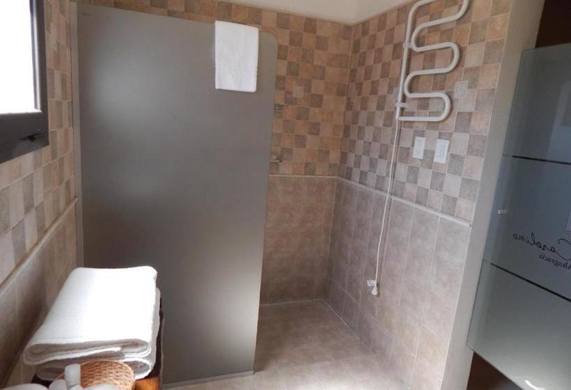 הוסטל Raices Del Carolino   Suites De Altagracia