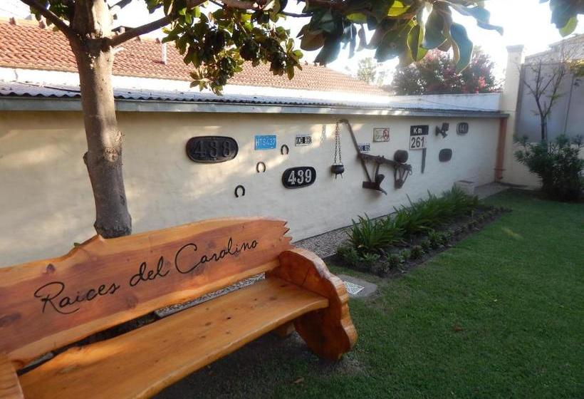 הוסטל Raices Del Carolino   Suites De Altagracia