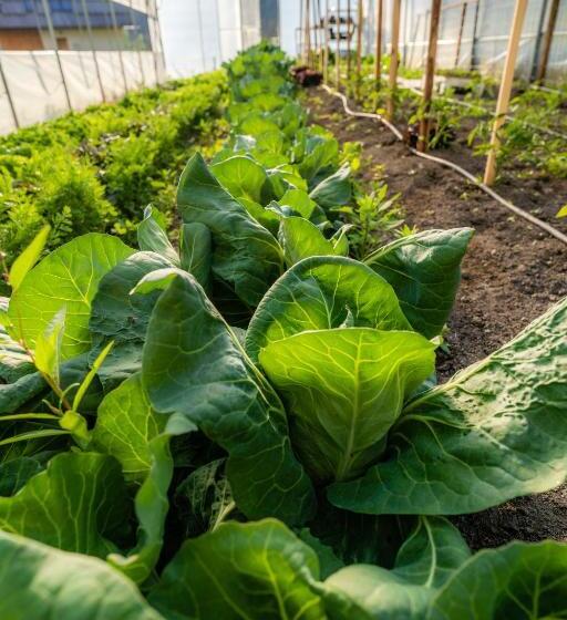 هتل Tourist Farm šenkova Domačija