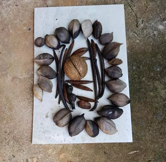 ペンション Gästehaus Isabella