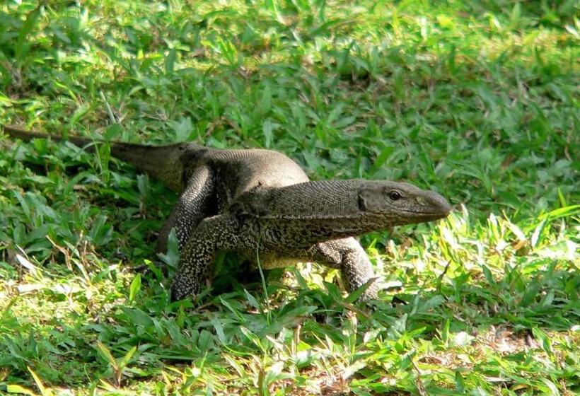 بنسيون Gästehaus Isabella