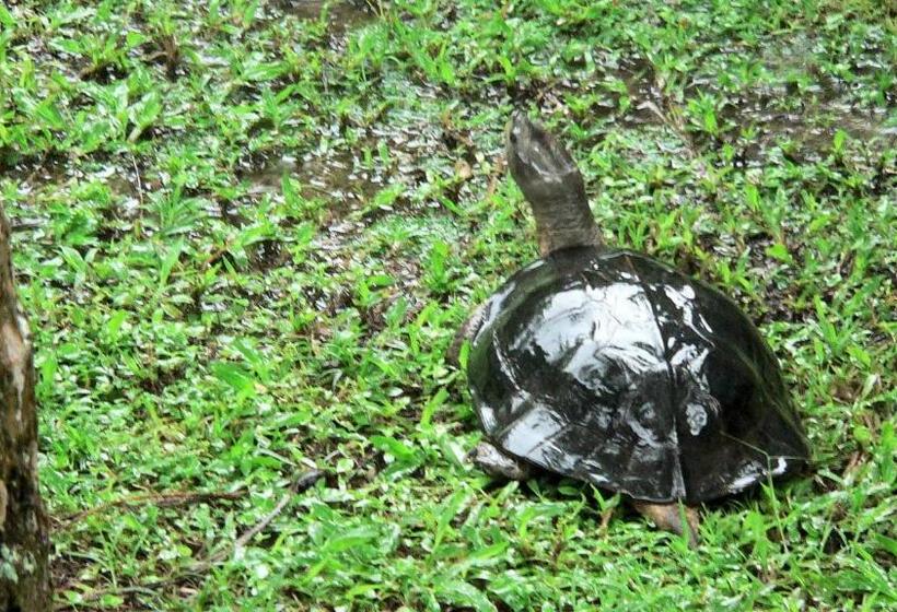 بنسيون Gästehaus Isabella