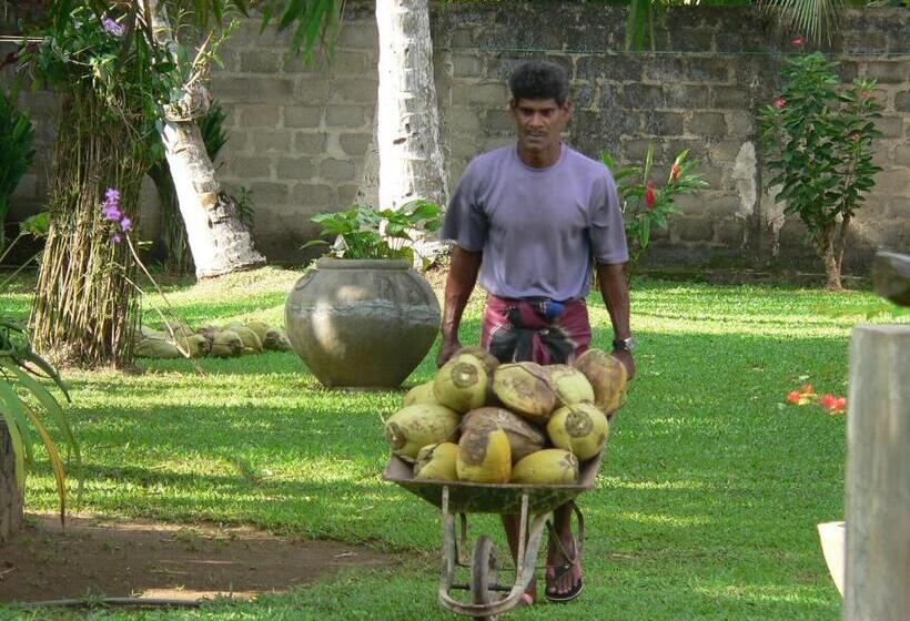 بنسيون Gästehaus Isabella