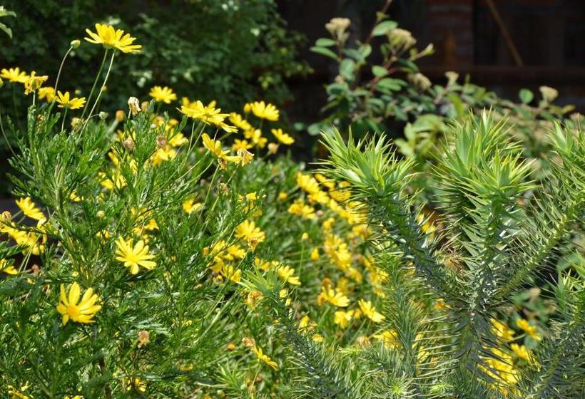 پانسیون Hostal Petit Verdot