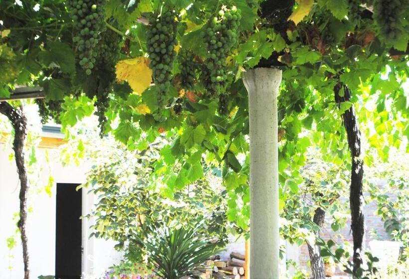 پانسیون Hostal Petit Verdot