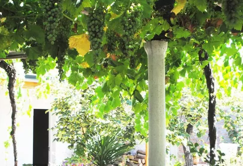 Majatalo Hostal Petit Verdot