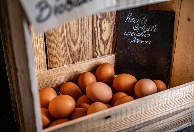 פנסיון Landhaus Tirolerherz