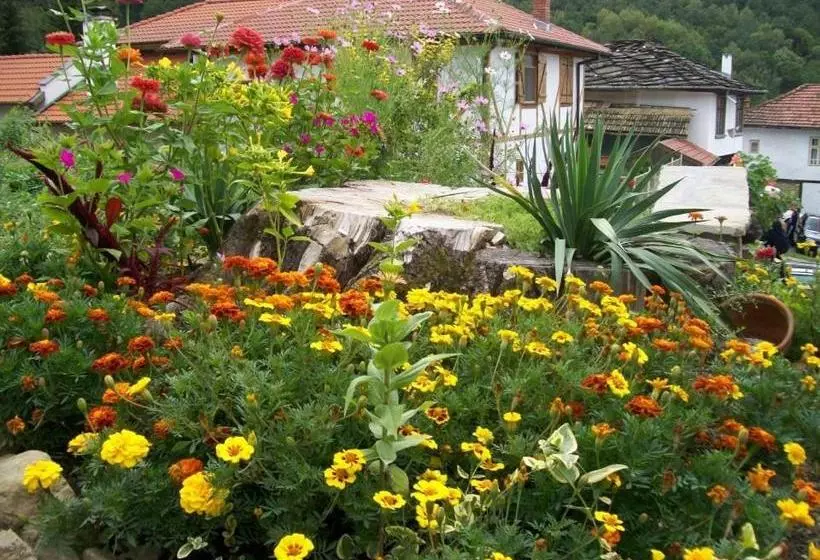 Majatalo Staroto Shkolo House   Rooms For Guests