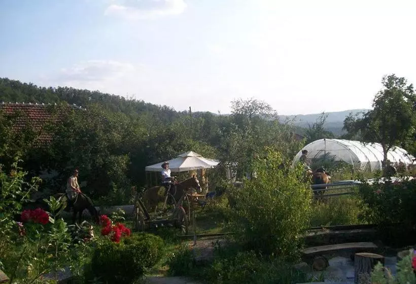 Majatalo Staroto Shkolo House   Rooms For Guests