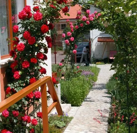 Pensiunea Sub Cetate Deva