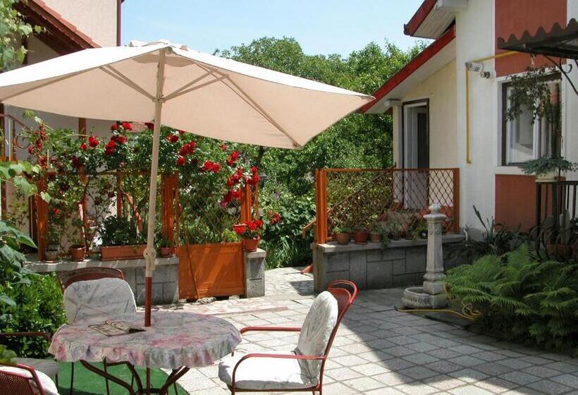 Pensiunea Sub Cetate Deva