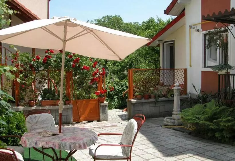 Pensiunea Sub Cetate Deva