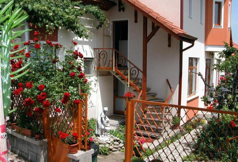 Pensiunea Sub Cetate Deva