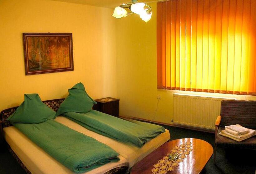 Pensiunea Sub Cetate Deva