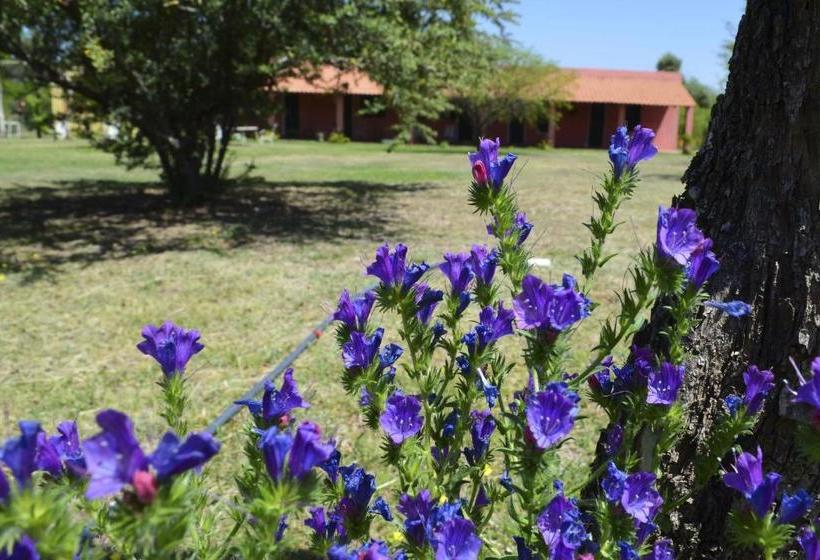 ユースホステル Posada Villapancha B&b