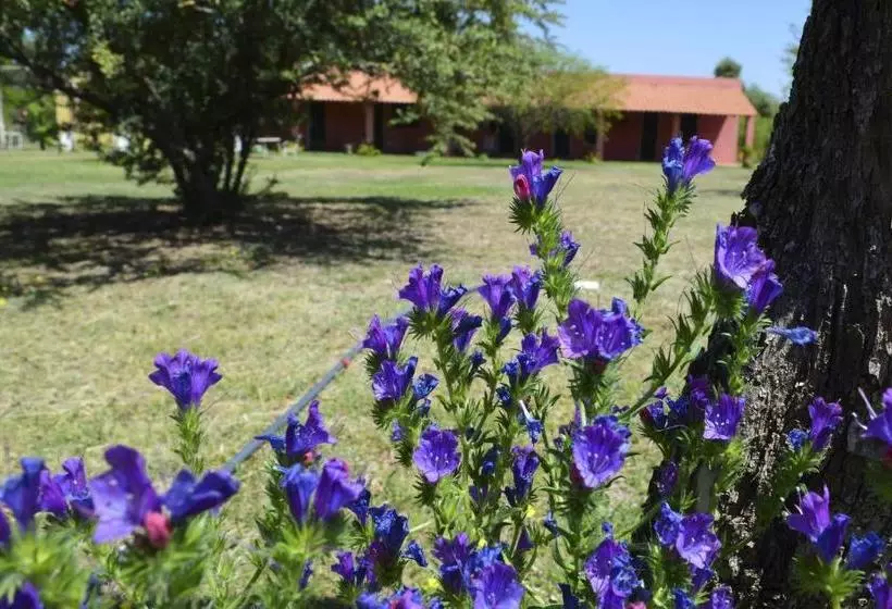 Retkeilymaja Posada Villapancha B&b