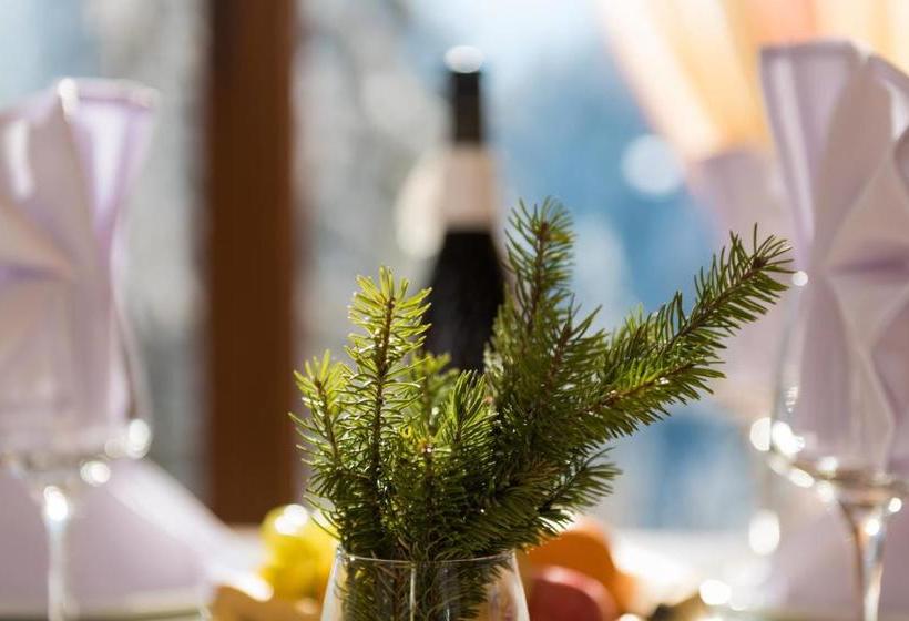 Mountain Lodge Apartments