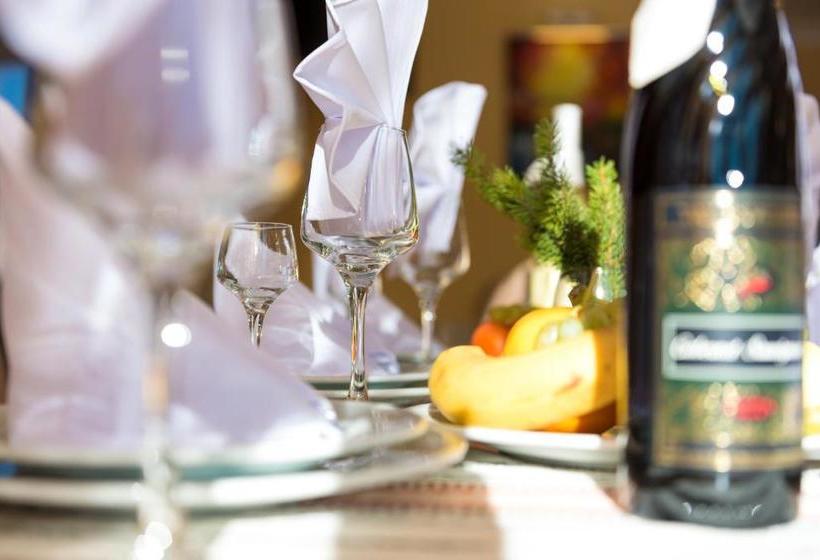 Mountain Lodge Apartments