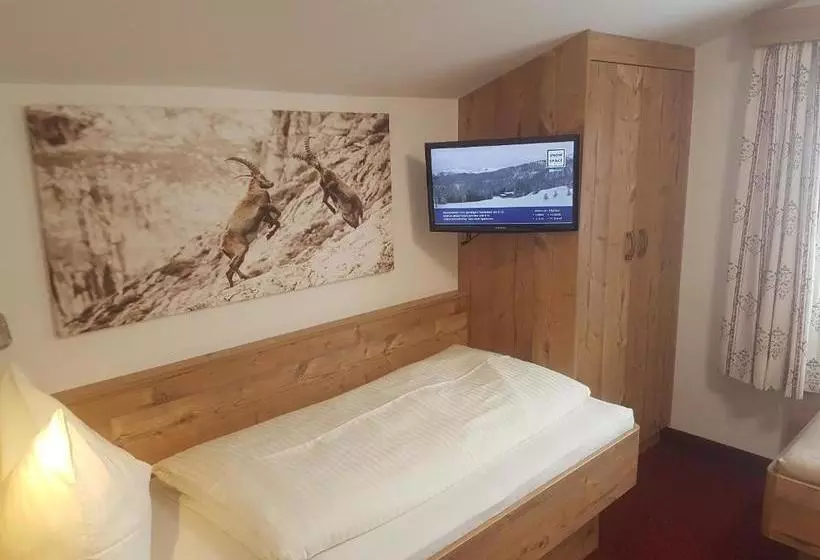 Oberauer Wagrain   Die Eco Familien Hotelpension B&b