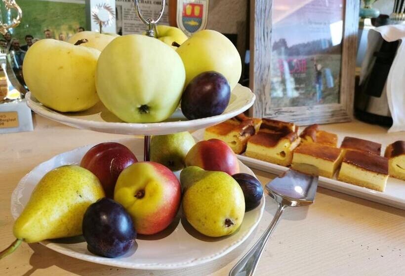 Oberauer Wagrain Die Eco Familien Hotelpension B&b