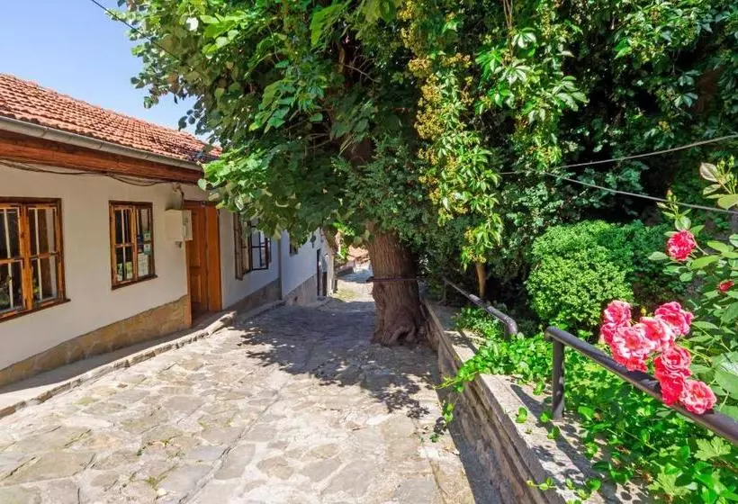 پانسیون Hostel Pashov