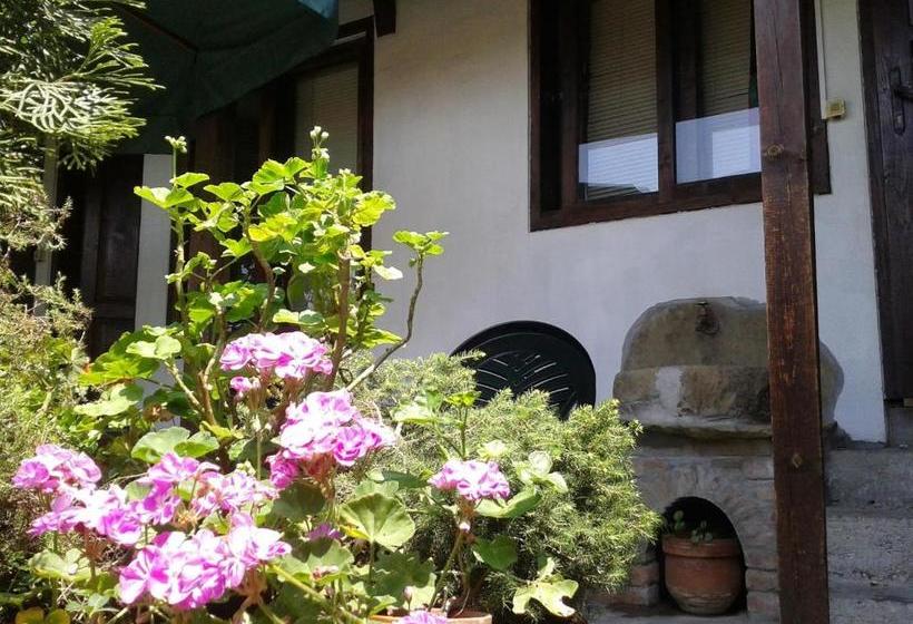 膳宿费 Hostel Pashov