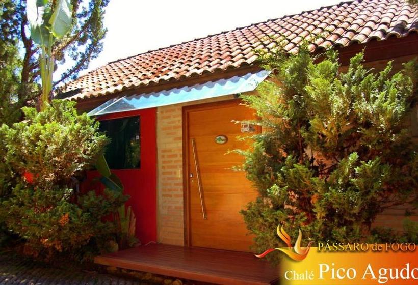 ペンション Pássaro De Fogo