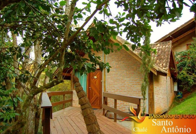 ペンション Pássaro De Fogo