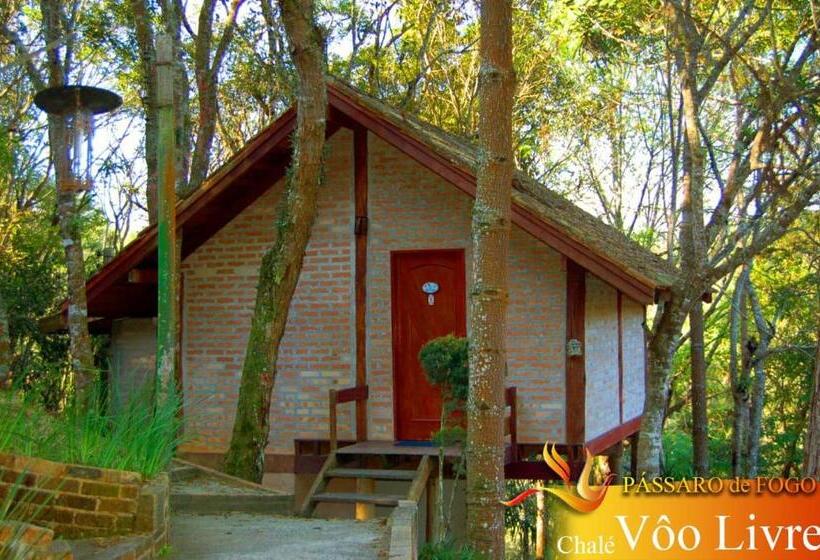 ペンション Pássaro De Fogo