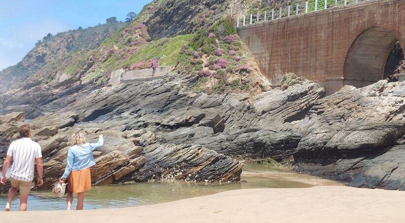 פנסיון The Tops